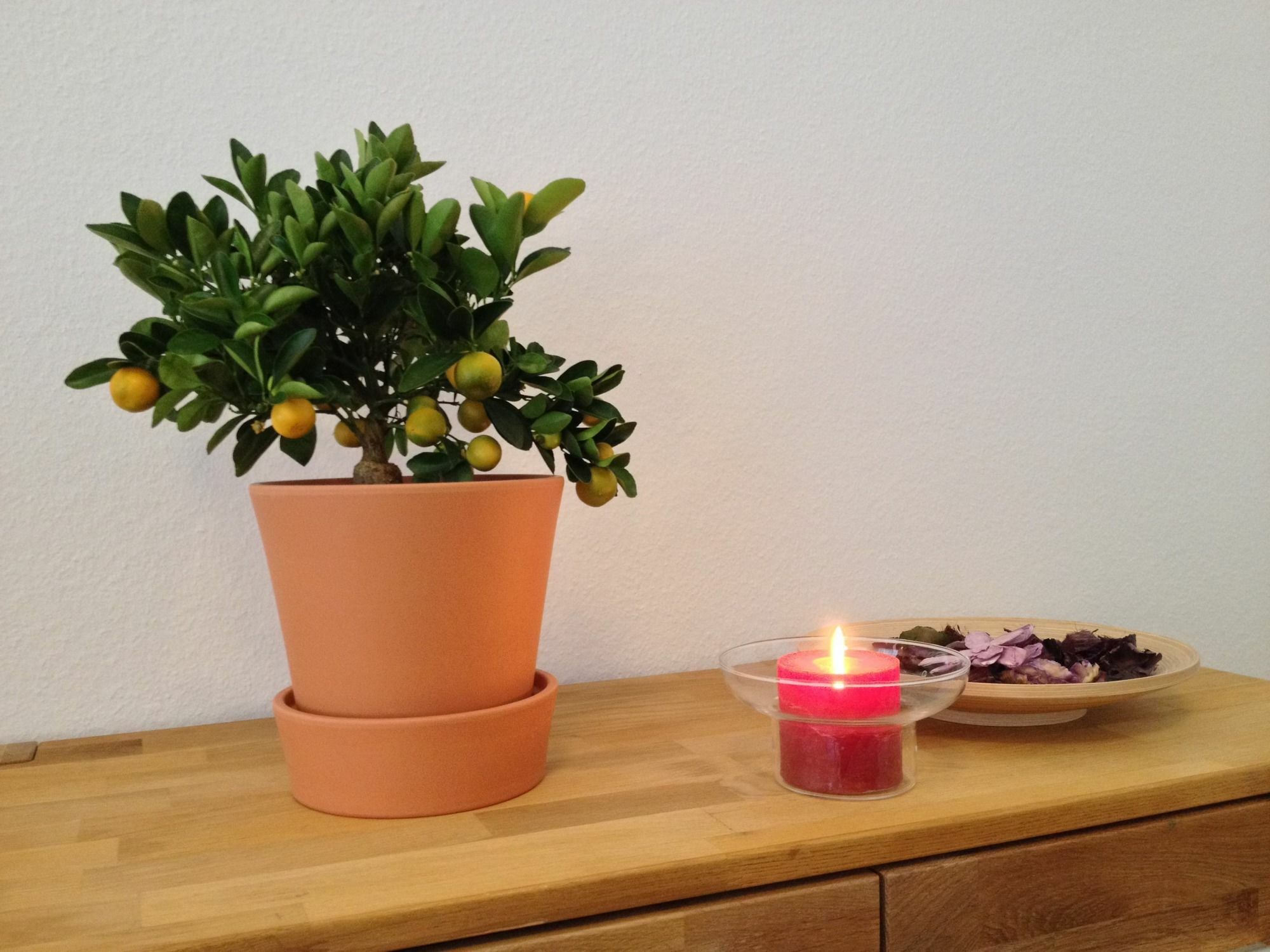 Apartmenthaus Feuerbach Leipzig Extérieur photo